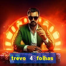 trevo 4 folhas significado espiritual